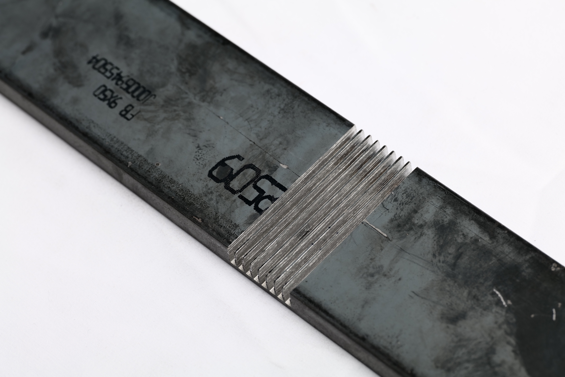 カドピタ　GJ_thume4